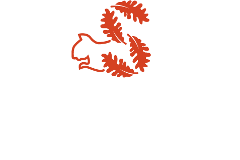 Squirrel Wood Properties